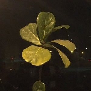 Meet your Posher, Robin